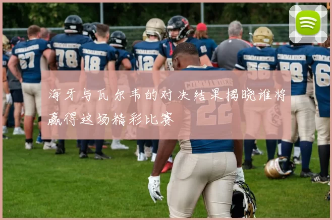 海牙与瓦尔韦的对决结果揭晓谁将赢得这场精彩比赛
