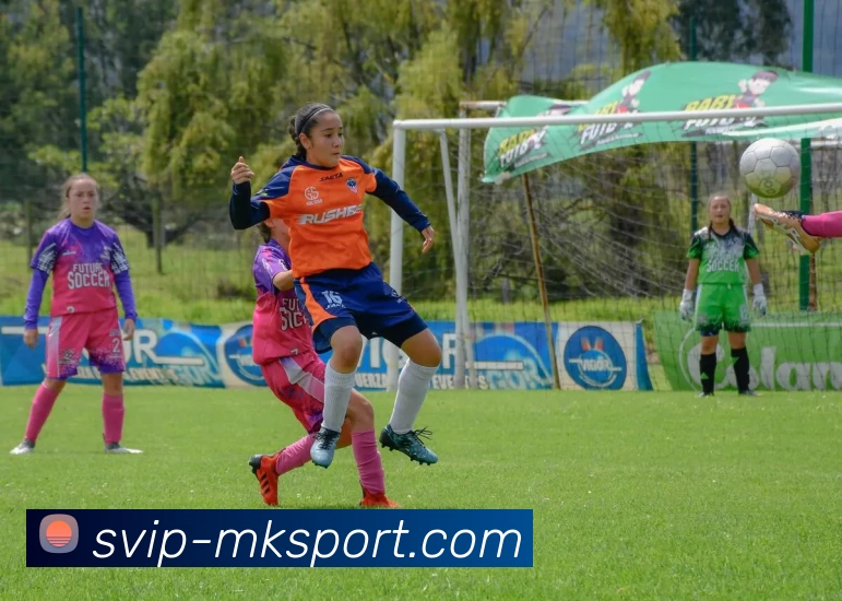 MK体育服务体系